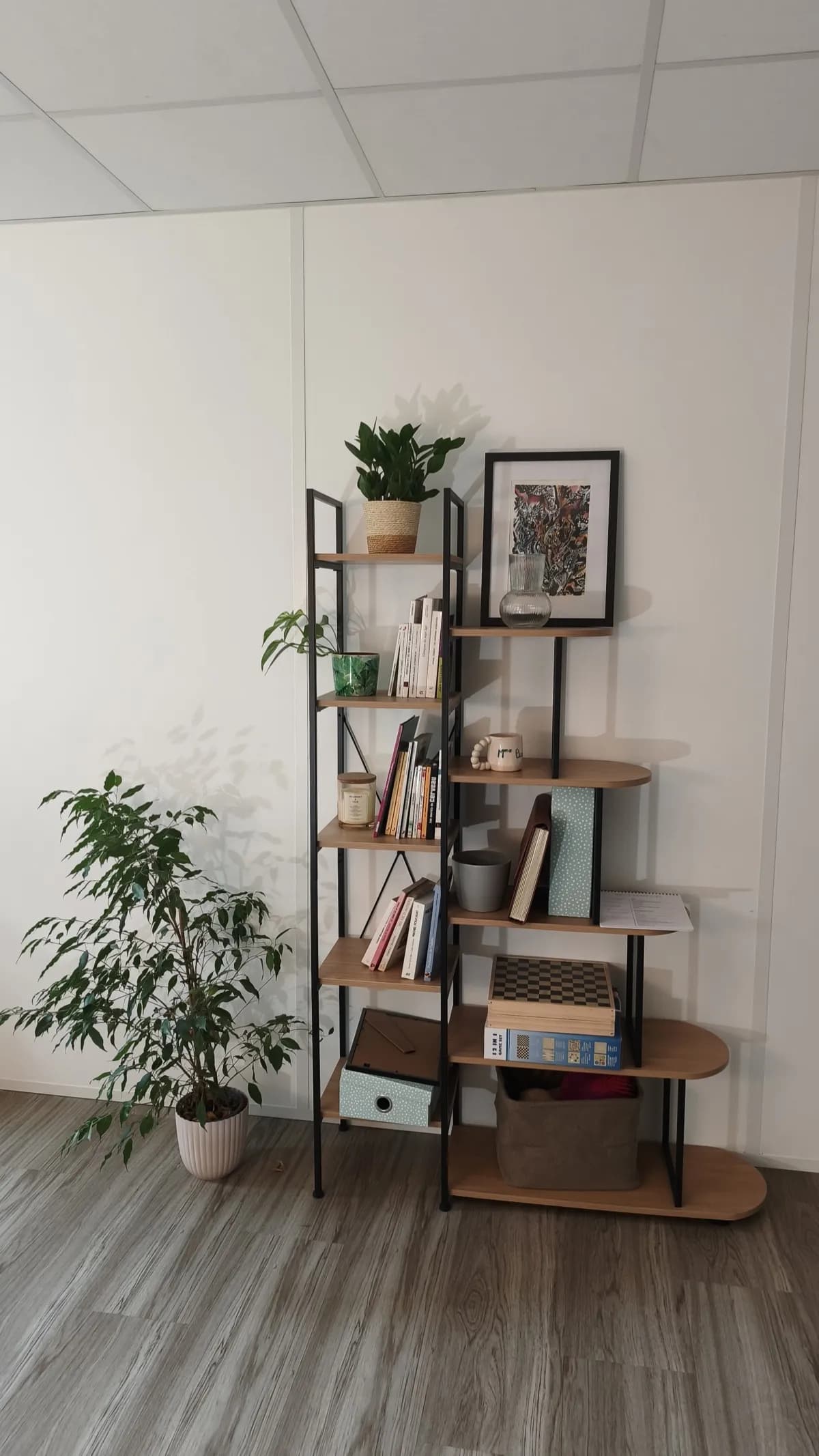 Cabinet de psychothérapie — étagère et plantes